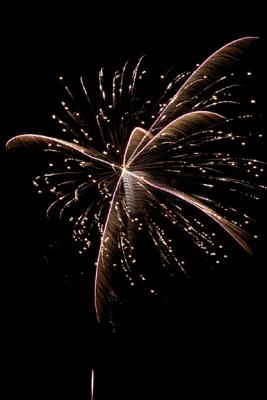 Fireworks Burst (M5436)