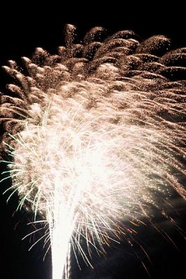 Fireworks Burst (M5439)