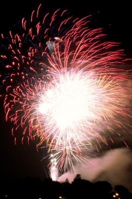 Fireworks Burst (M5443)