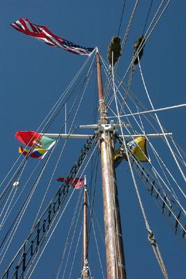 v3/03/449703/3/46804049.gazelamainflagscountriesM575372lg.jpg