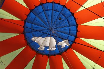 Polar Bear, Interior Top, Detail