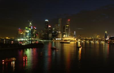 P7300864 Singapore at Night.jpg