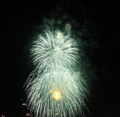 P7300868 Fireworks2.jpg