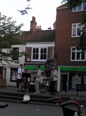 York - Cat on a hot tin roof