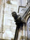 Minster gargoyles 1