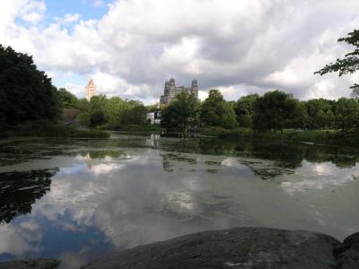 CP_Pond0001.jpg