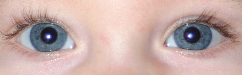Eyes.jpg