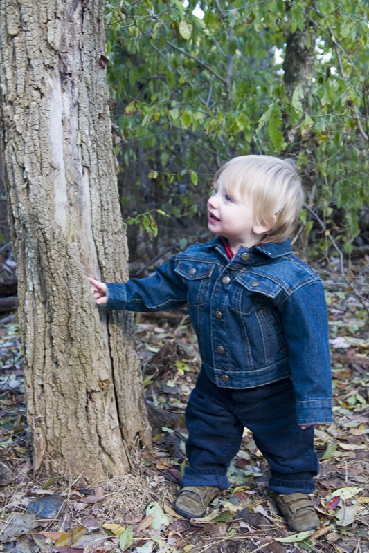 Nature Walk