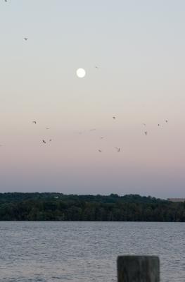 Potomac Moon