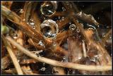 IMG_9193-small.jpg