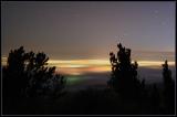 IMG_2211-crop1-small-2.jpg