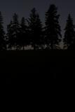 Canon_Service_1-01-small.jpg