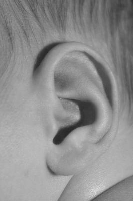 Ear