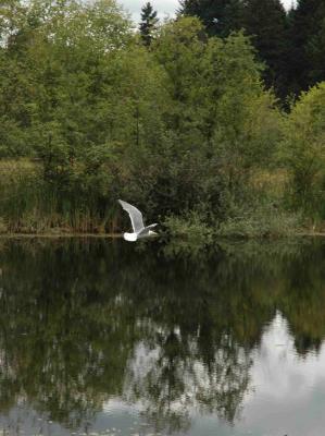 DSC_4696.jpg