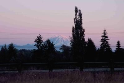 mt. rainier sunset2.jpg