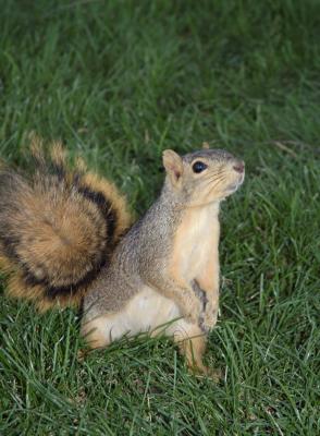 DSC_5234.jpg