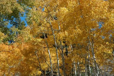 DSC_0193.jpg