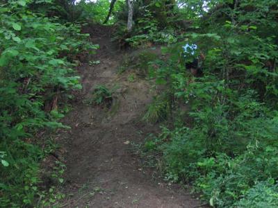 IMG_0081061704.jpg