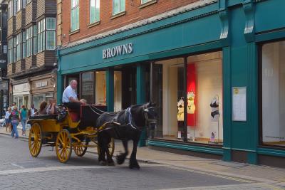 Horse Carriage At The Browns