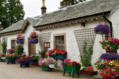 Luss - The Town Of Flowers