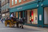 Horse Carriage At The Browns