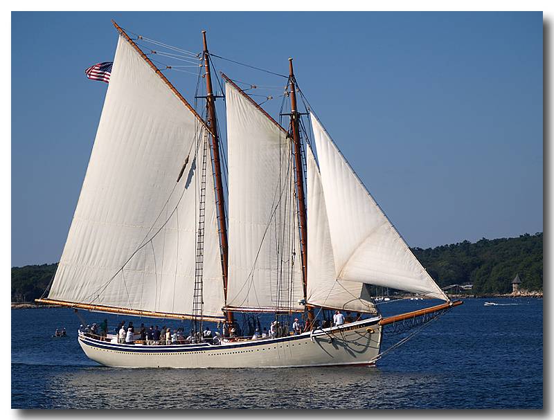 American Eagle - Rockland, ME
