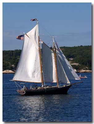 Estrela - Prudence Island