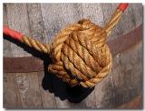 Knot