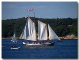 Summertime - Brooklin, ME