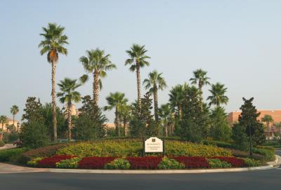 Architectural Shrubbery