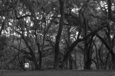 St. Simons Park 3