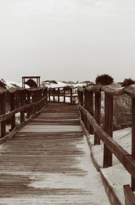 White Sands,NM sepia