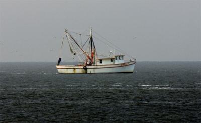 Shrimp Boat 2