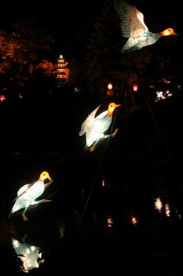 Chinese lantern