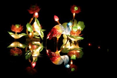 Chinese lantern