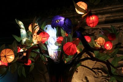 Chinese lantern