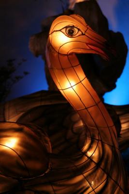 Chinese lantern