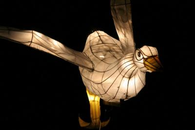Chinese lantern