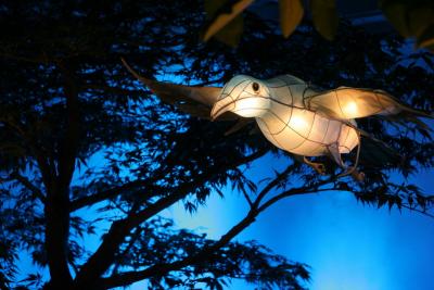 Chinese lantern