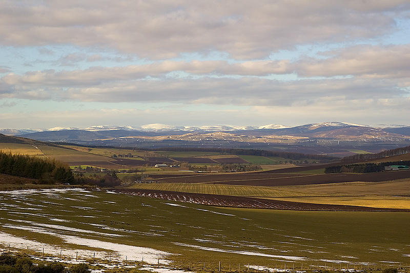 Angus View.
