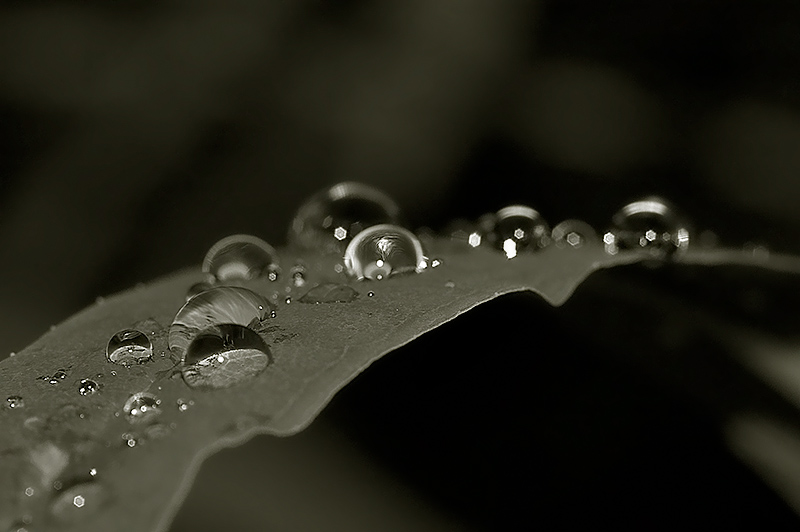 289 Droplets.