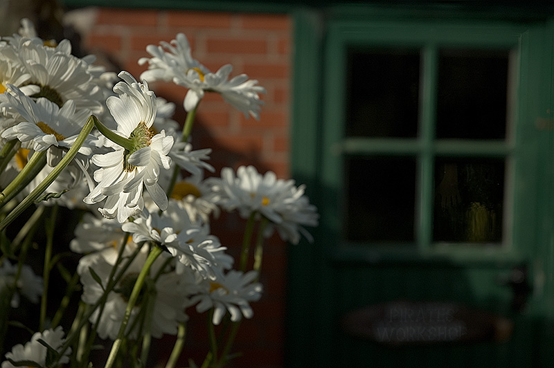 J M Barries Garden.