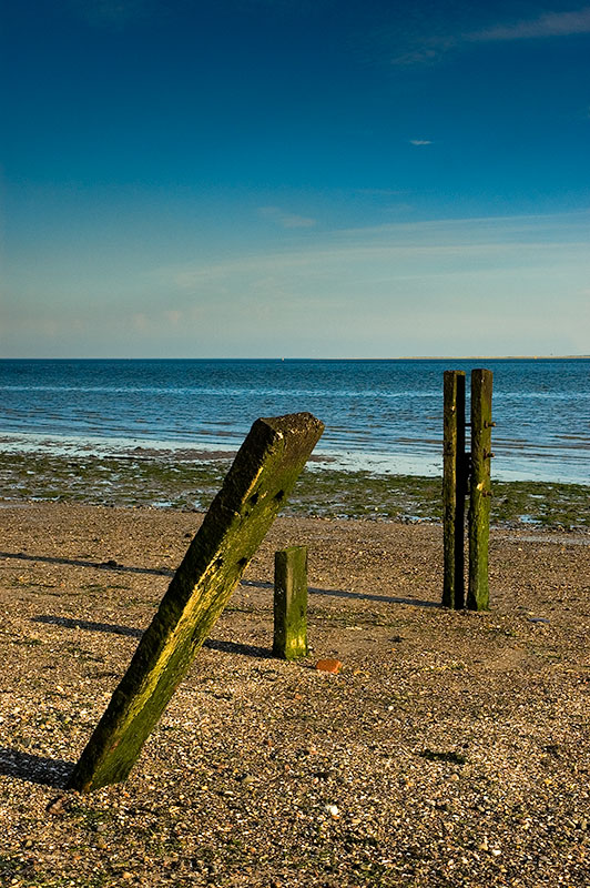 333 The Beach.
