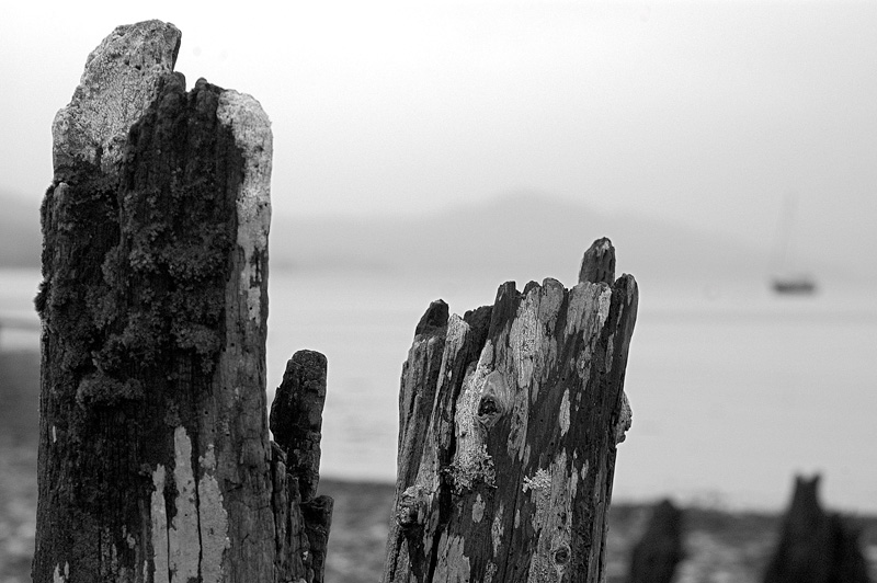 Loch Fyne.