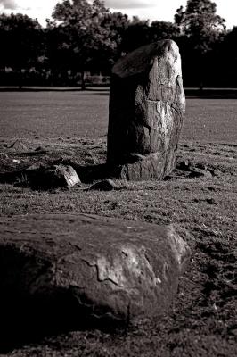 312 Balgarthno Stones.