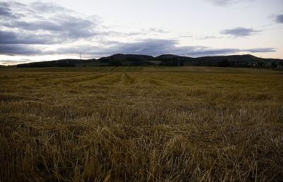 315 Wot No Bales.