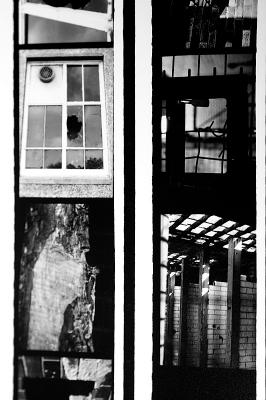 321 Strips of Decay.