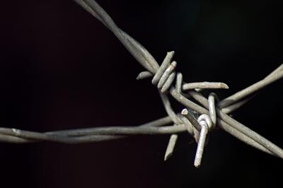 323 Barbwire.