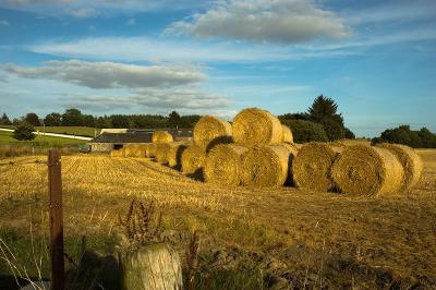 341 Peel Farm.