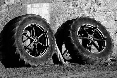 344 Wheels